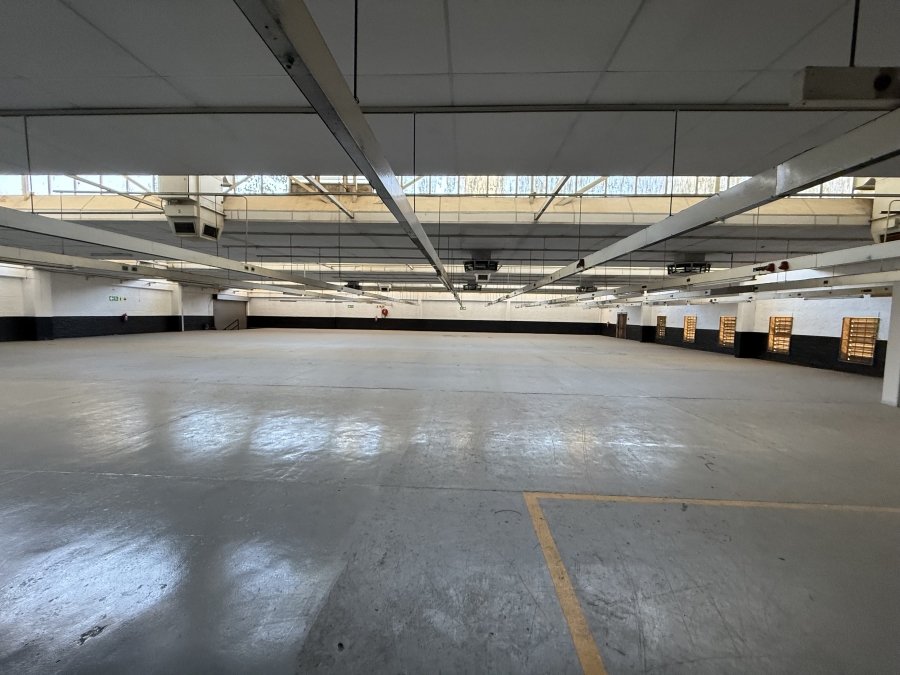 To Let commercial Property for Rent in Malmesbury Industria Western Cape